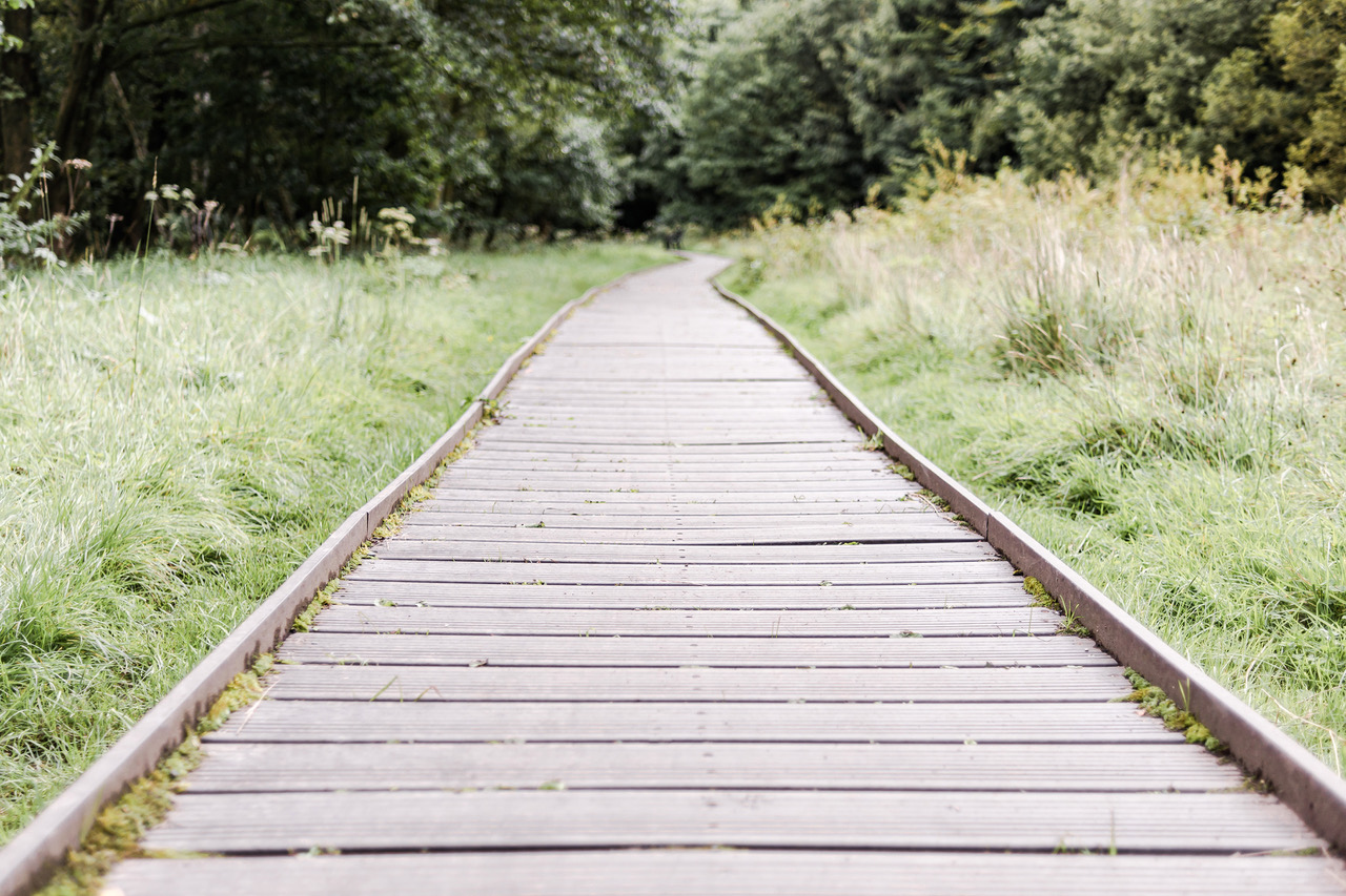 Grey wooden path leads through a deep green wood. It symbolizes that you better stay on track to make good decisions.